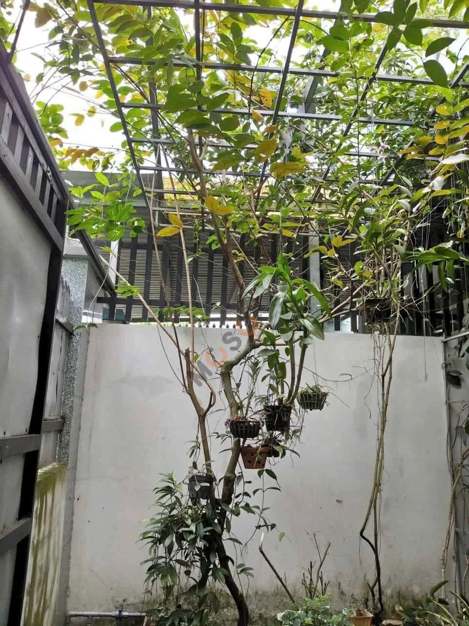 Hình ảnh nhà 2