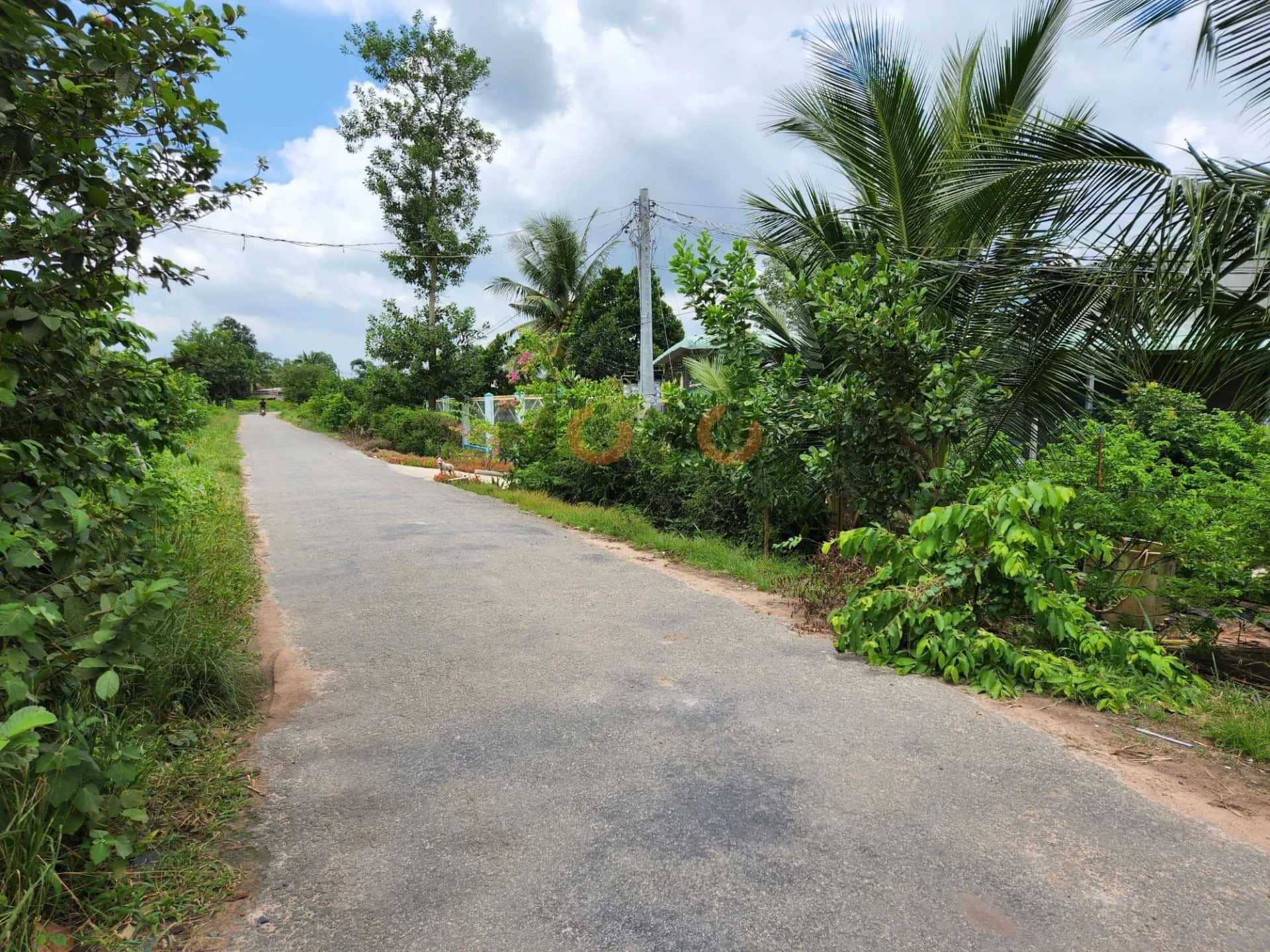 Bán đất đường số 3-3 Huyện Dương Minh Châu, Tây Ninh – giá 1.1 tỷ — Hình 3