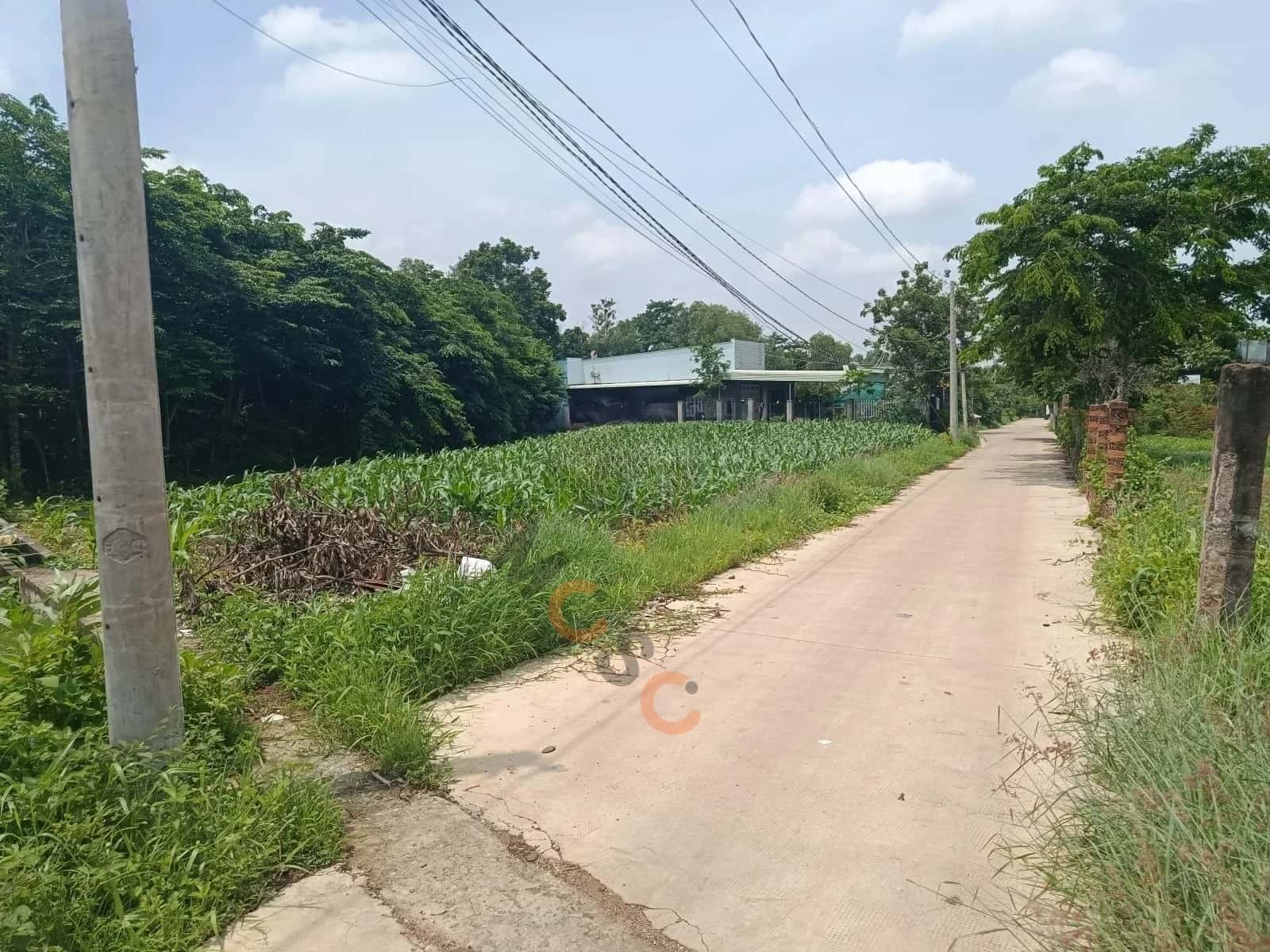 Bán đất Thôn Tân Ro, đường 32 Thành phố Phú Mỹ, BRVT – giá 1.3 tỷ