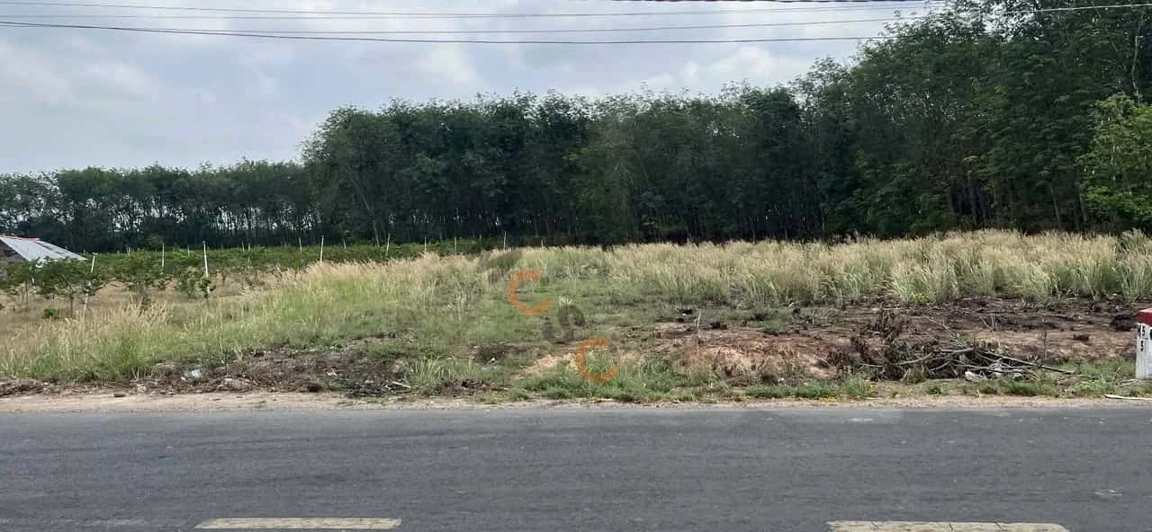 Bán đất Ấp Tân Lợi Huyện Tân Châu, Tây Ninh – giá 1.1 tỷ — Hình 3