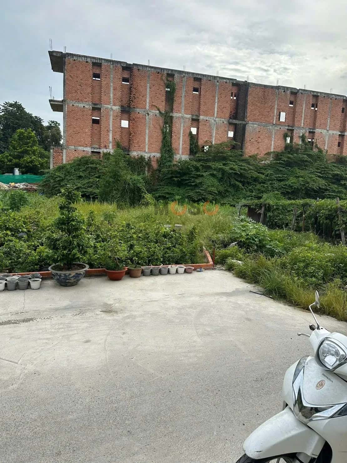 Bán đất Thạnh Xuân 43 Quận 12, TP.HCM – giá 6 tỷ — Hình 2