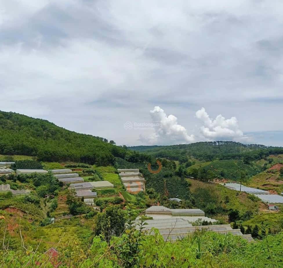 Bán đất Măn Lin Thành phố Đà Lạt, Lâm Đồng – giá 4.8 tỷ — Hình 2
