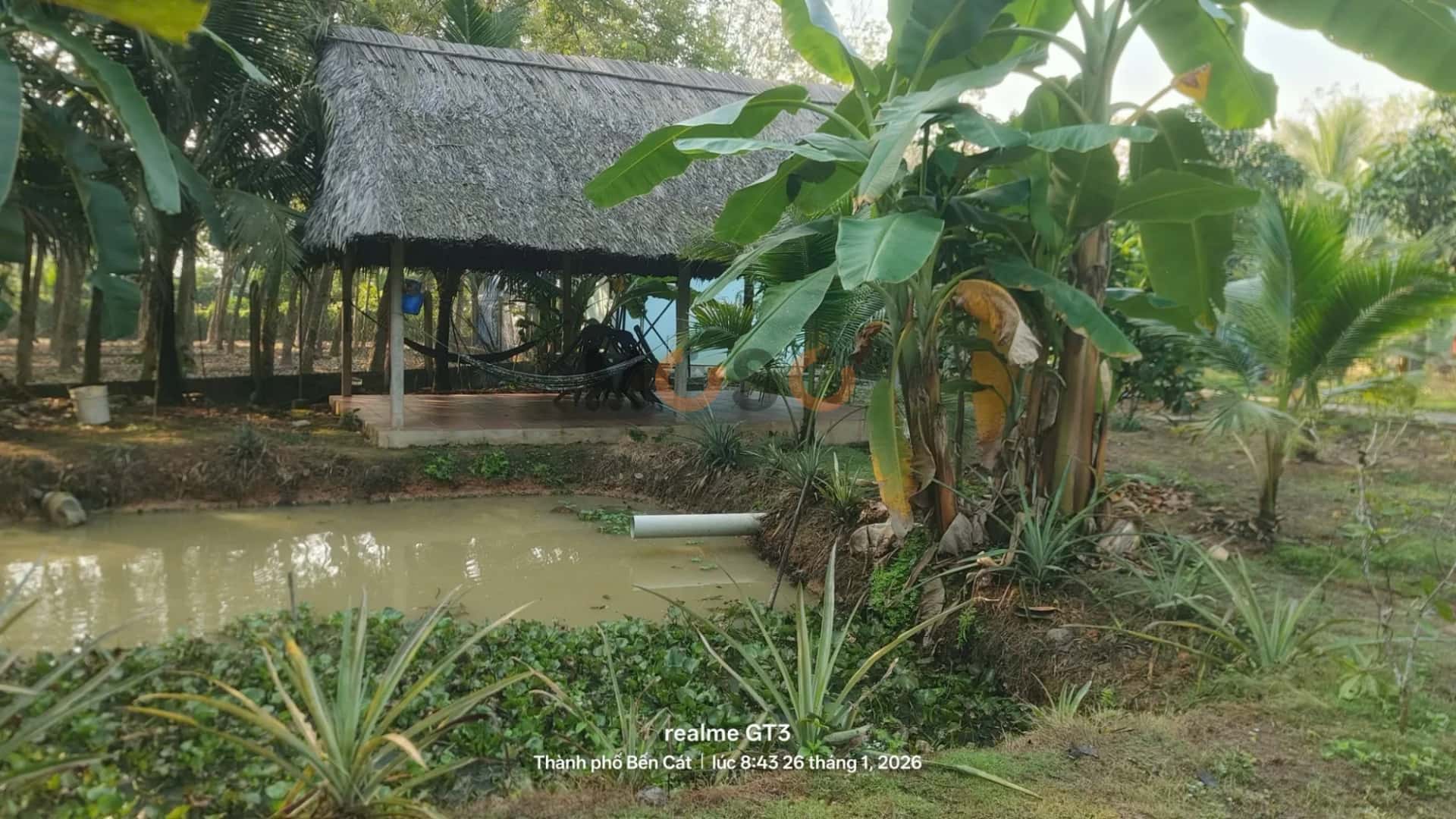 Bán đất đường DT748 Thành phố Bến Cát, Bình Dương – giá 4.5 tỷ — Hình 3