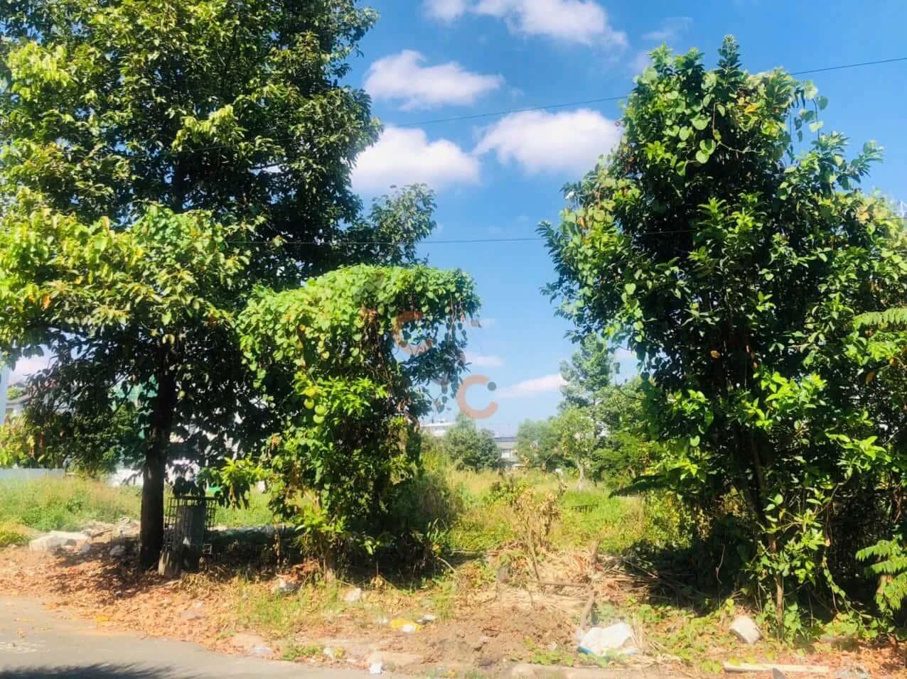 Bán đất đường Đặng Như Mai Quận 2, TP.HCM – giá 58 tỷ — Hình 2