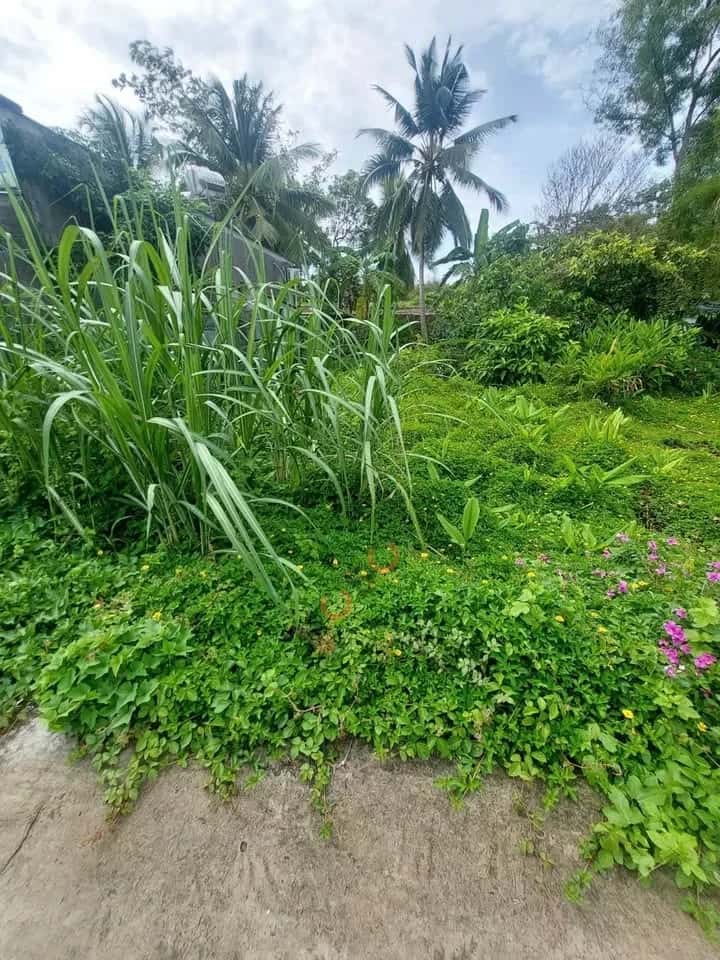 Bán đất Khu Vực Bình Yên B Quận Bình Thuỷ, TP. Cần Thơ – giá 980 triệu — Hình 2