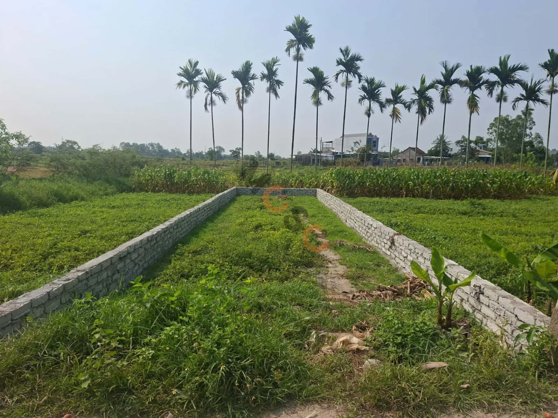 Bán đất Thôn Lệ Sơn 2 Huyện Hòa Vang, TP. Đà Nẵng – giá 1.4 tỷ — Hình 2