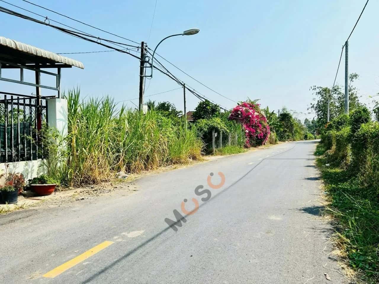 Bán đất Giồng Cát Huyện Củ Chi, TP.HCM – giá 2.9 tỷ — Hình 3