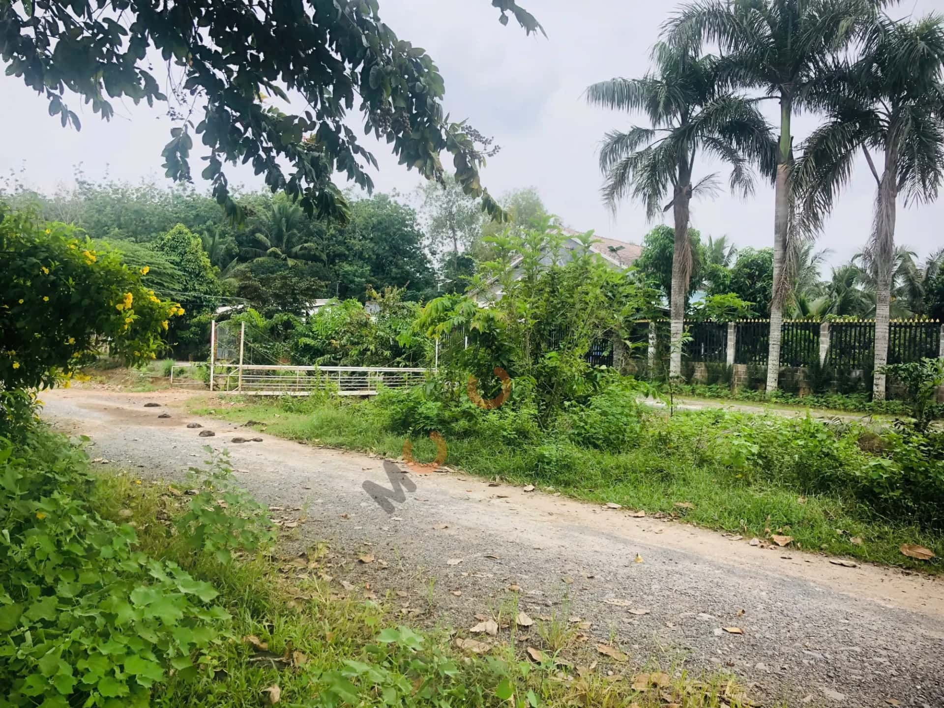 Hình ảnh nhà 2