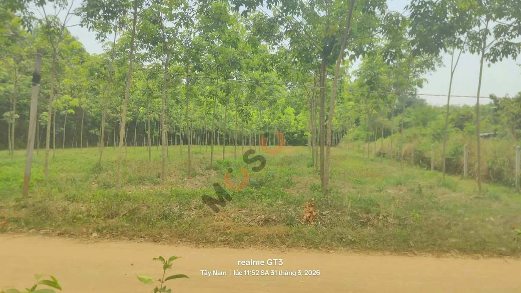 Bán đất Đường Thanh Tuyền 093 Huyện Dầu Tiếng, Bình Dương – giá 5.7 tỷ