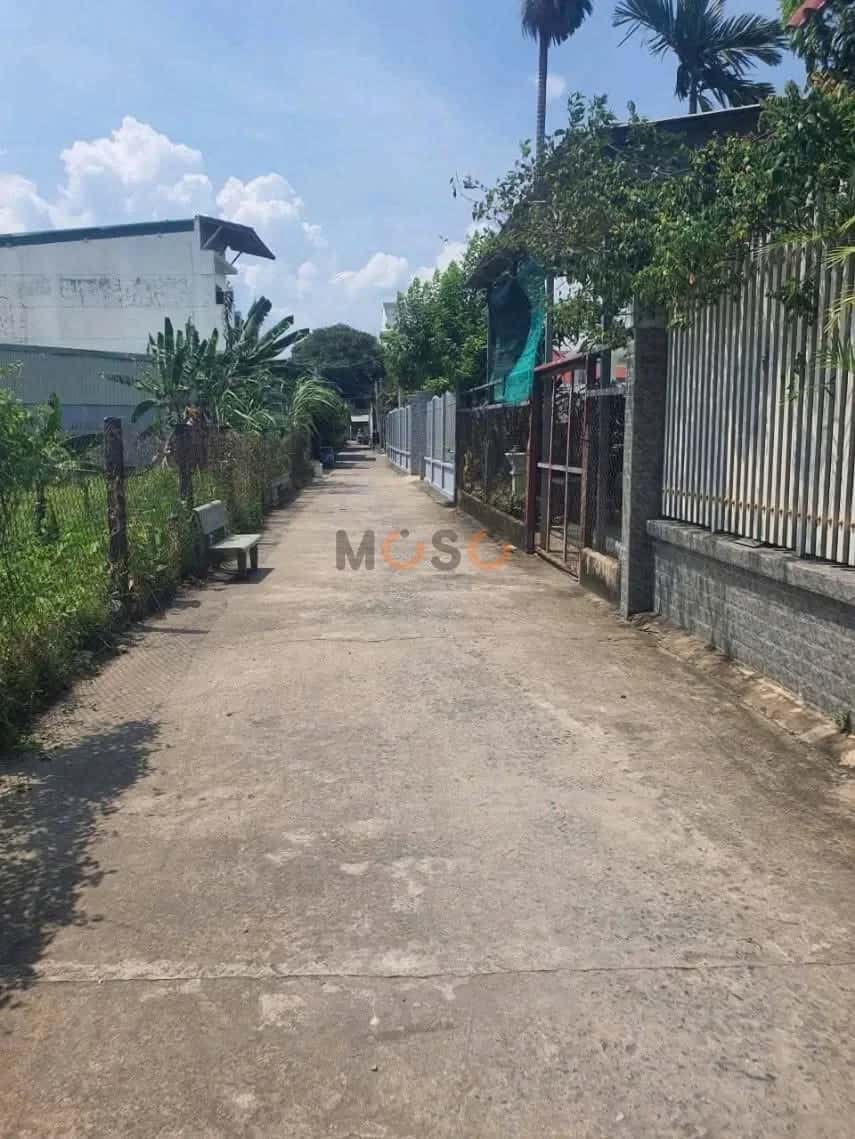 Bán đất Bình Nhâm 79, khu phố Bình Phước Thành phố Thuận An, Bình Dương – giá 3 tỷ — Hình 2 Bán đất Bình Nhâm 79, khu phố Bình Phước Thành phố Thuận An, Bình Dương – giá 3 tỷ — Hình 2