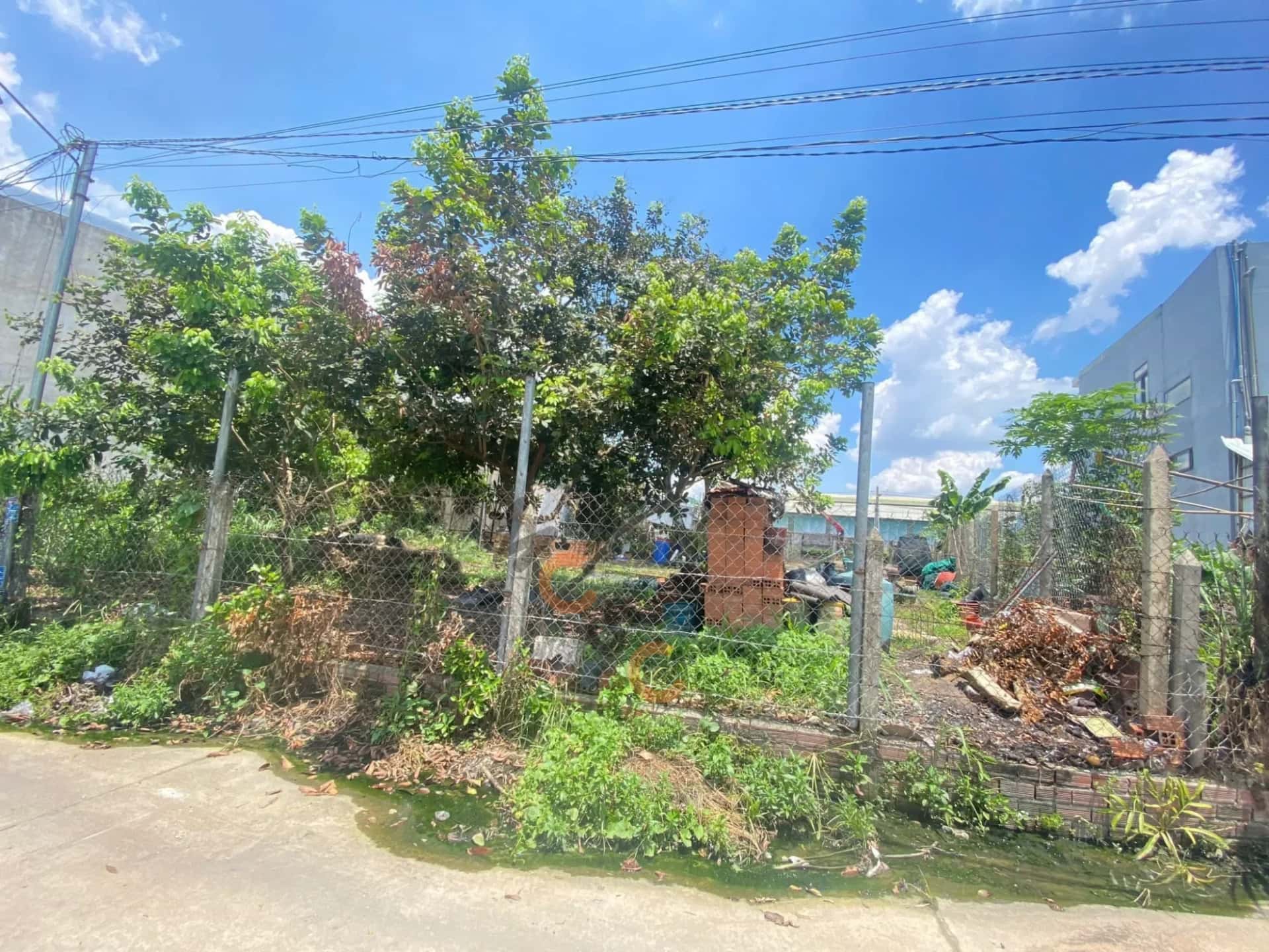 Bán đất hẻm đường ĐX 070 Thành phố Thủ Dầu Một, Bình Dương – giá 1.8 tỷ — Hình 2