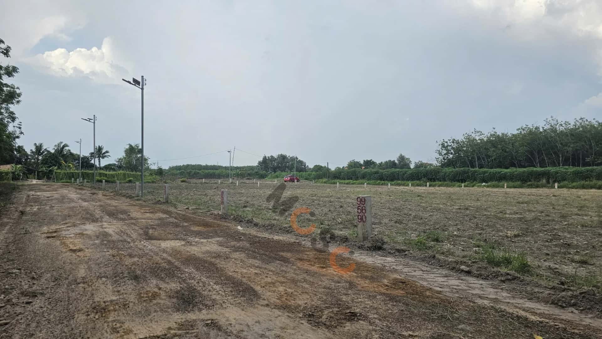 Bán đất Đường Bờ Nam Kênh Tây Thành phố Tây Ninh, Tây Ninh – giá 256 triệu — Hình 2