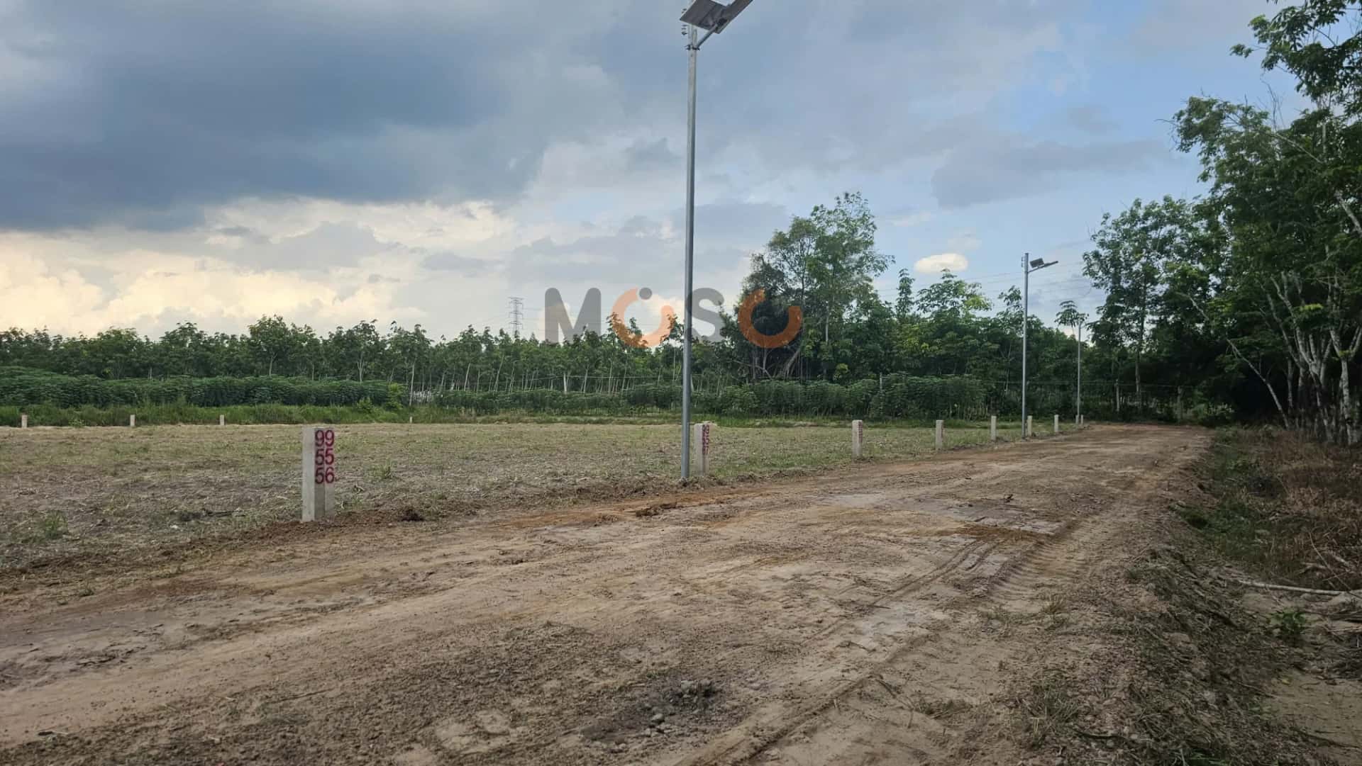 Bán đất Đường Bờ Nam Kênh Tây Thành phố Tây Ninh, Tây Ninh – giá 256 triệu — Hình 3