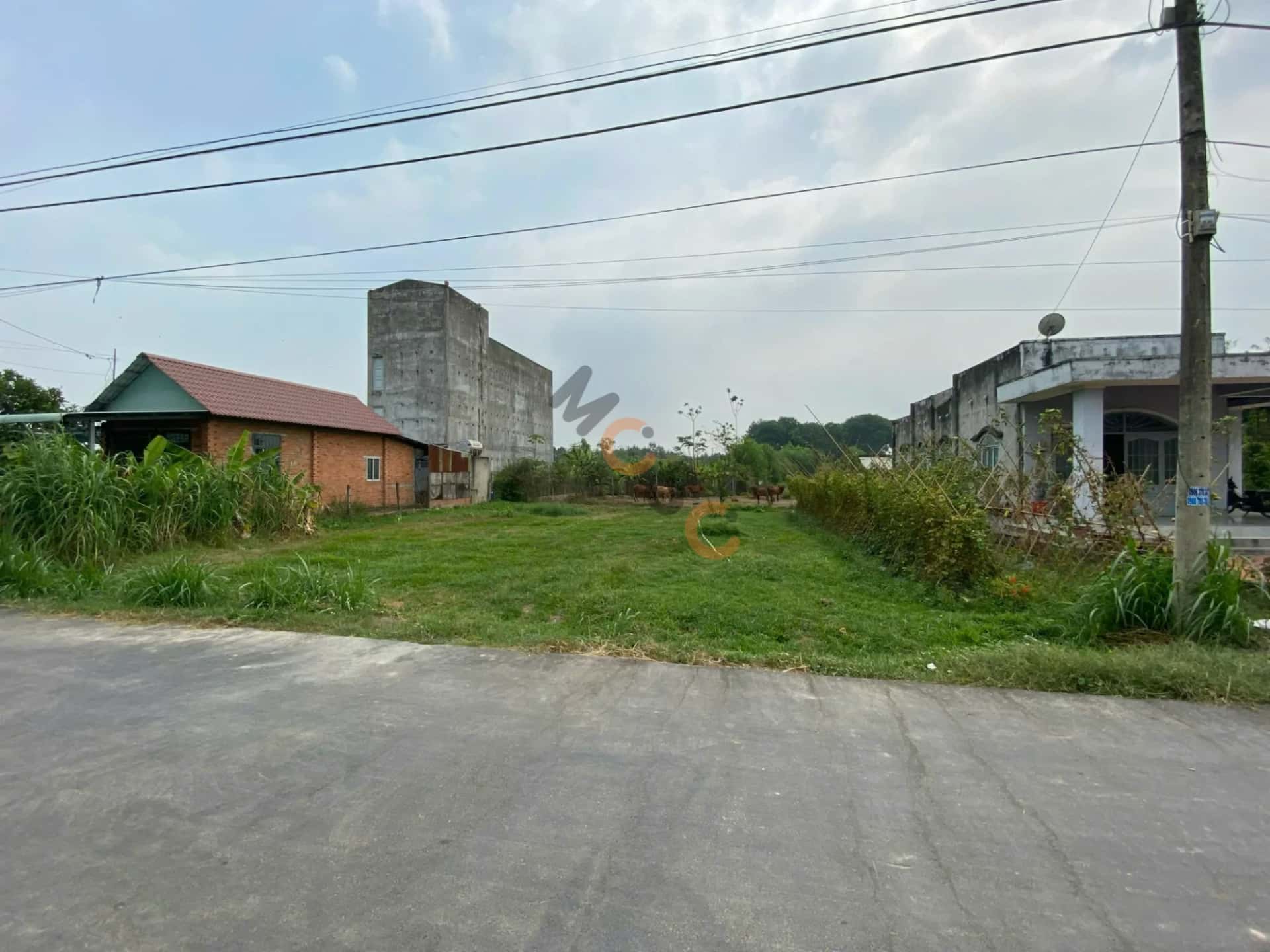 Hình ảnh nhà 2