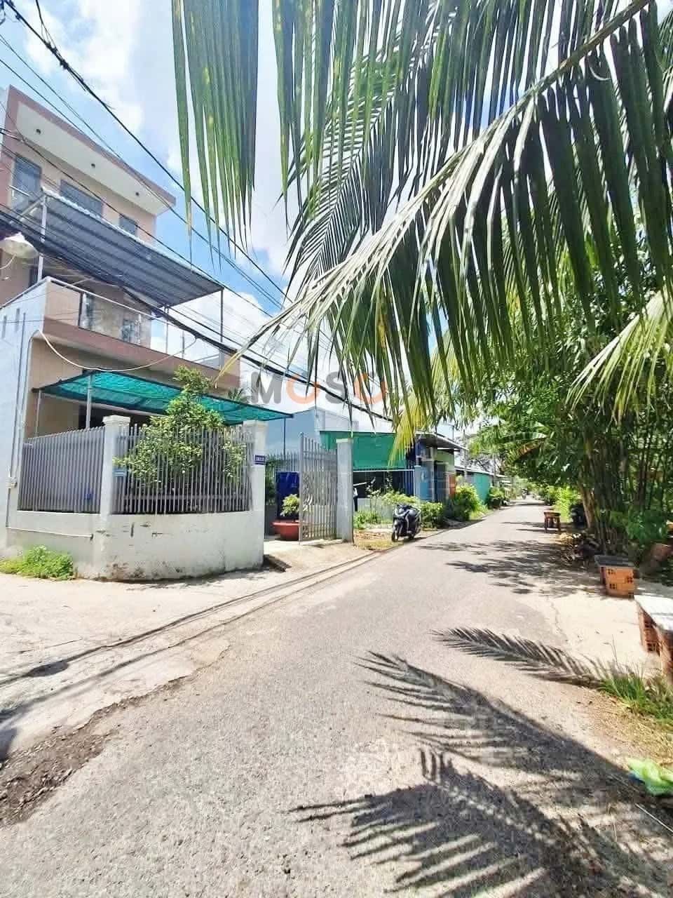Bán đất Nguyễn Thị Tạo, KV Bình Nhựt Quận Bình Thuỷ, TP. Cần Thơ – giá 2.2 tỷ — Hình 3