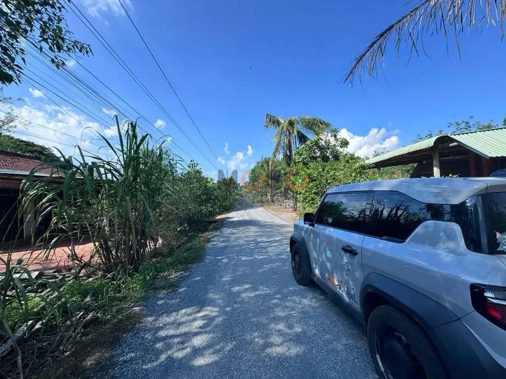 Bán đất đường DT 784 Huyện Dương Minh Châu, Tây Ninh – giá 900 triệu — Hình 2