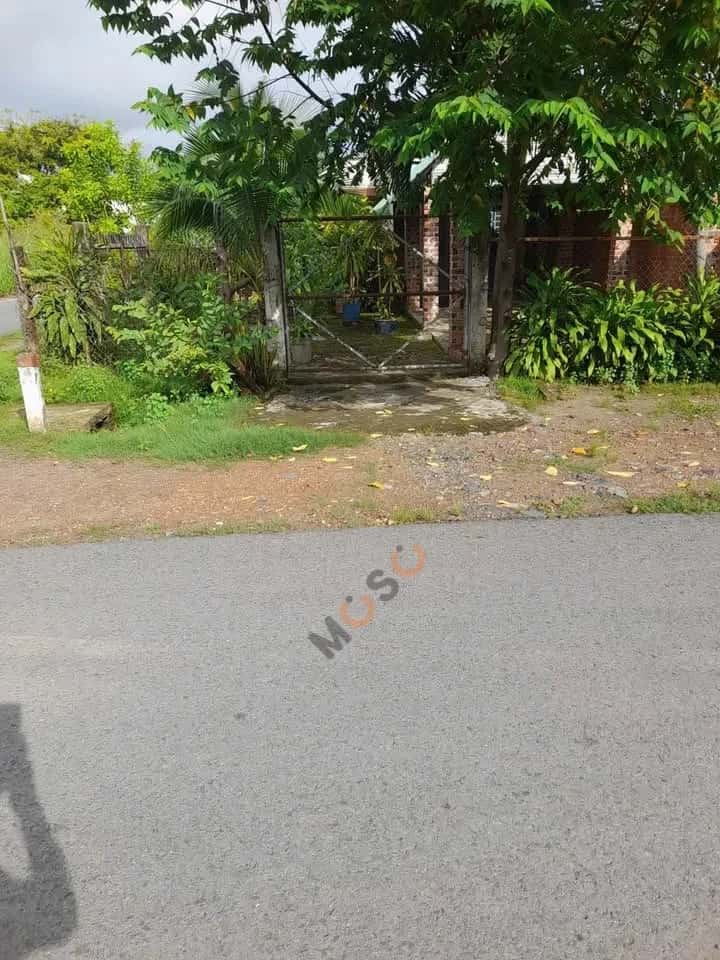 Bán đất Nguyễn Thị Minh Khai Huyện Tân Châu, Tây Ninh – giá 2.9 tỷ — Hình 2