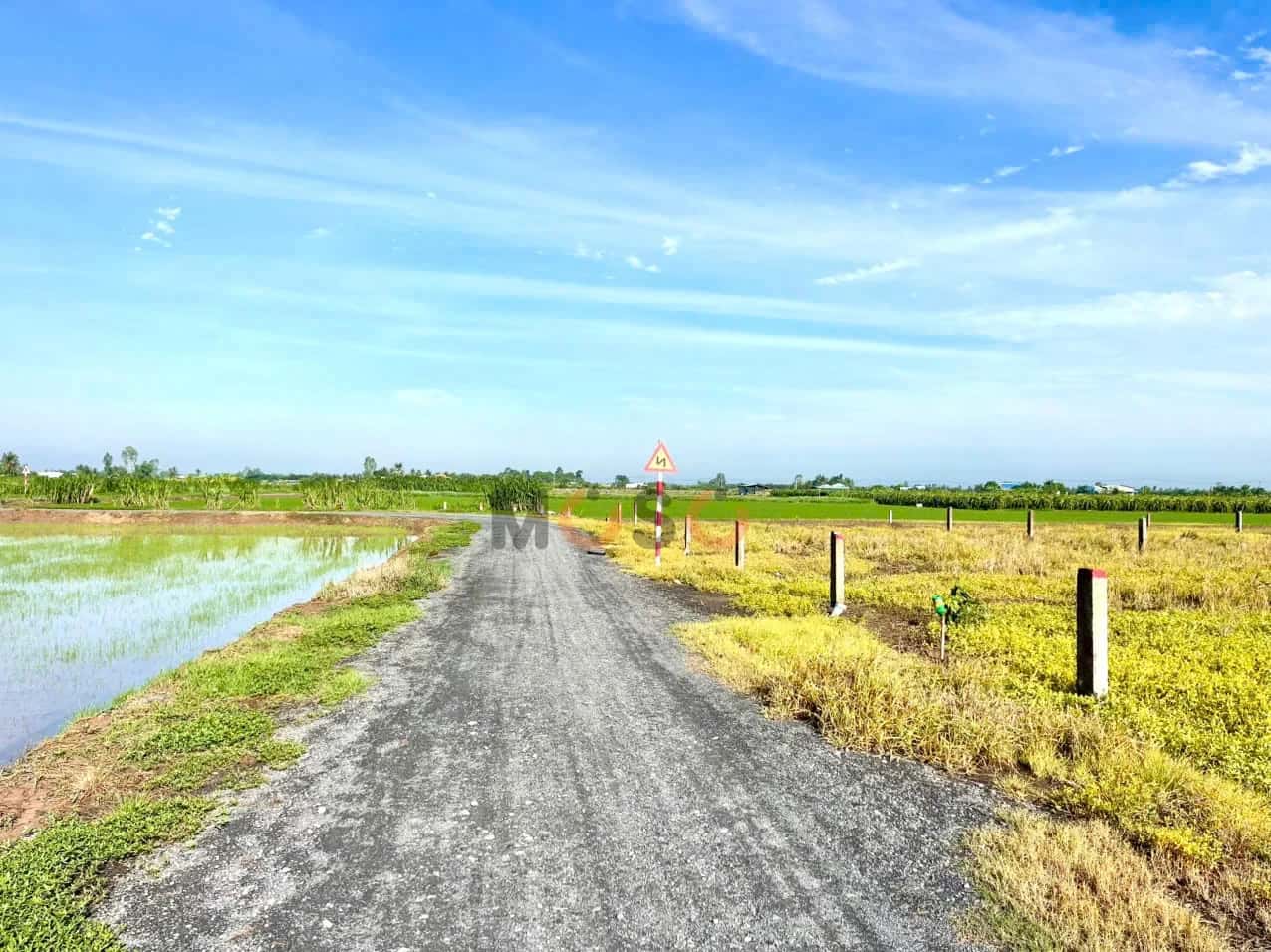 Bán đất đường Tổ 14, ấp Bình Trinh Huyện Gò Công Tây, Tiền Giang – giá 395 triệu — Hình 2