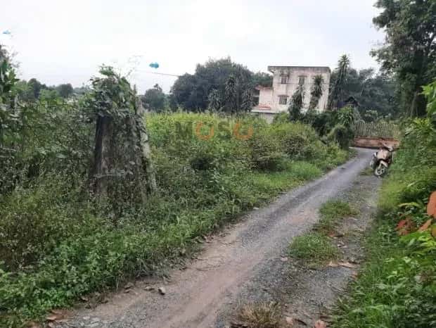 Hình ảnh nhà 3