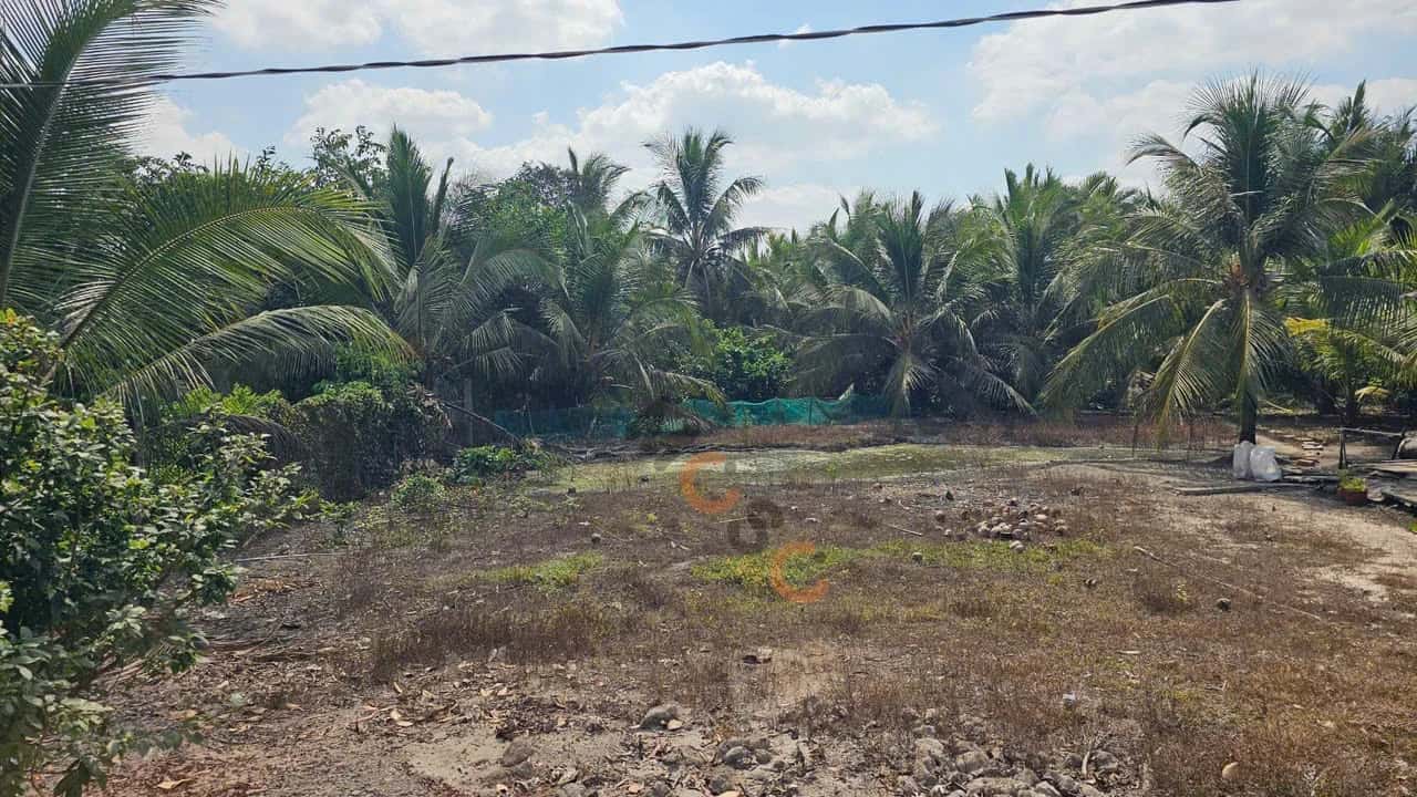 Bán đất ĐT. 879 Huyện Chợ Gạo, Tiền Giang – giá 550 triệu — Hình 3 Bán đất ĐT. 879 Huyện Chợ Gạo, Tiền Giang – giá 550 triệu — Hình 3