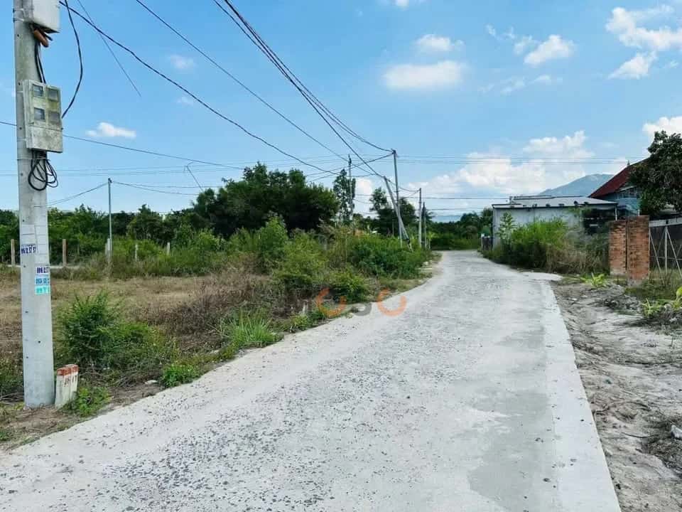 Bán đất Thôn Tân Thành Huyện Diên Khánh, Khánh Hòa – giá 539 triệu — Hình 3