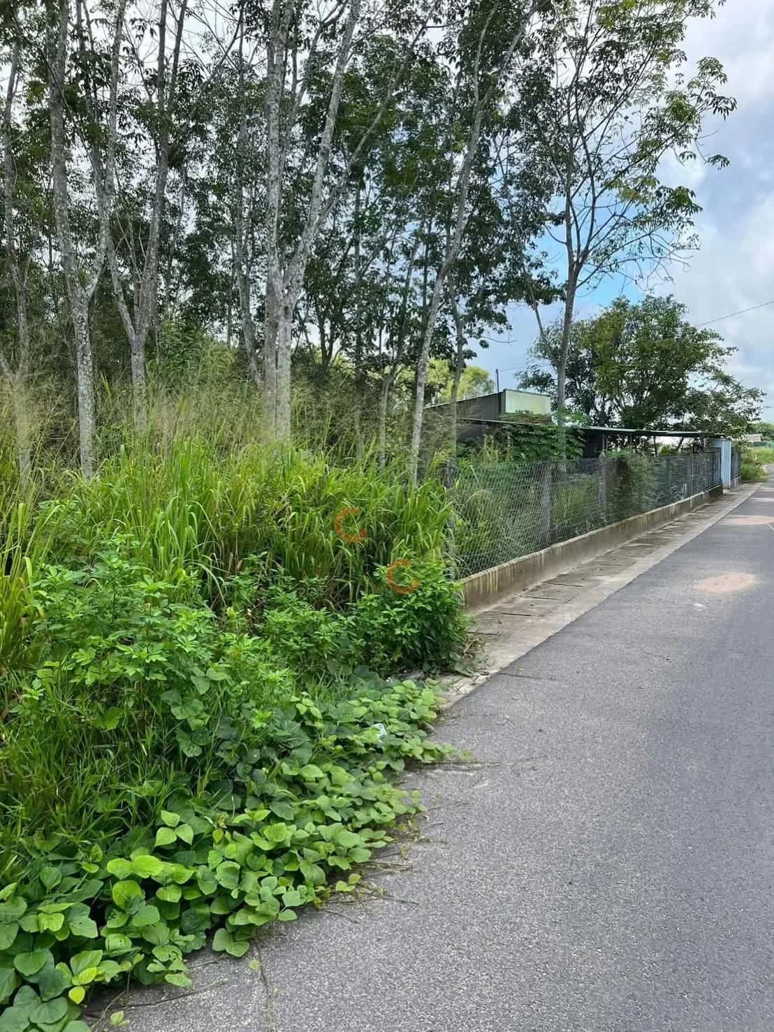 Bán đất Đường An Tây 057 Thành phố Bến Cát, Bình Dương – giá 1.9 tỷ — Hình 3