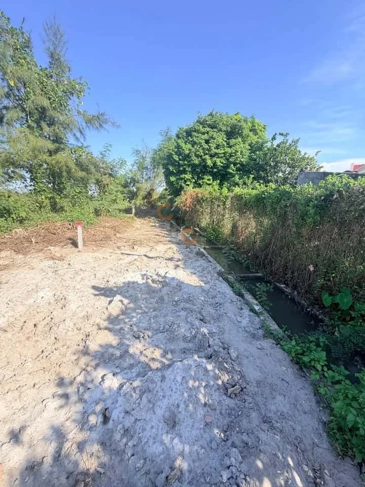 Bán đất Thôn Bình Túy Huyện Thăng Bình, Quảng Nam – giá 599 triệu — Hình 3