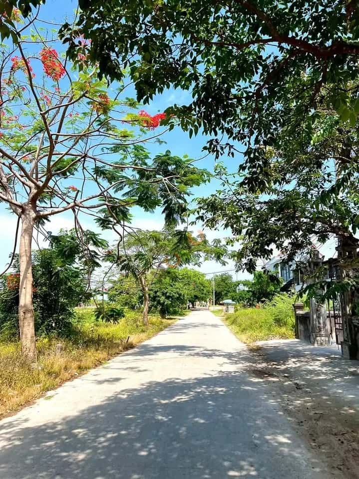 Bán đất Dạ Lê Chánh Quận Thuận Hóa, TP. Huế – giá 1.5 tỷ — Hình 3