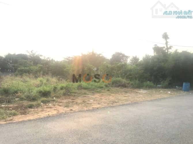 Hình ảnh nhà 2