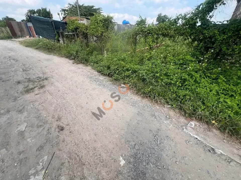 Hình ảnh nhà 3