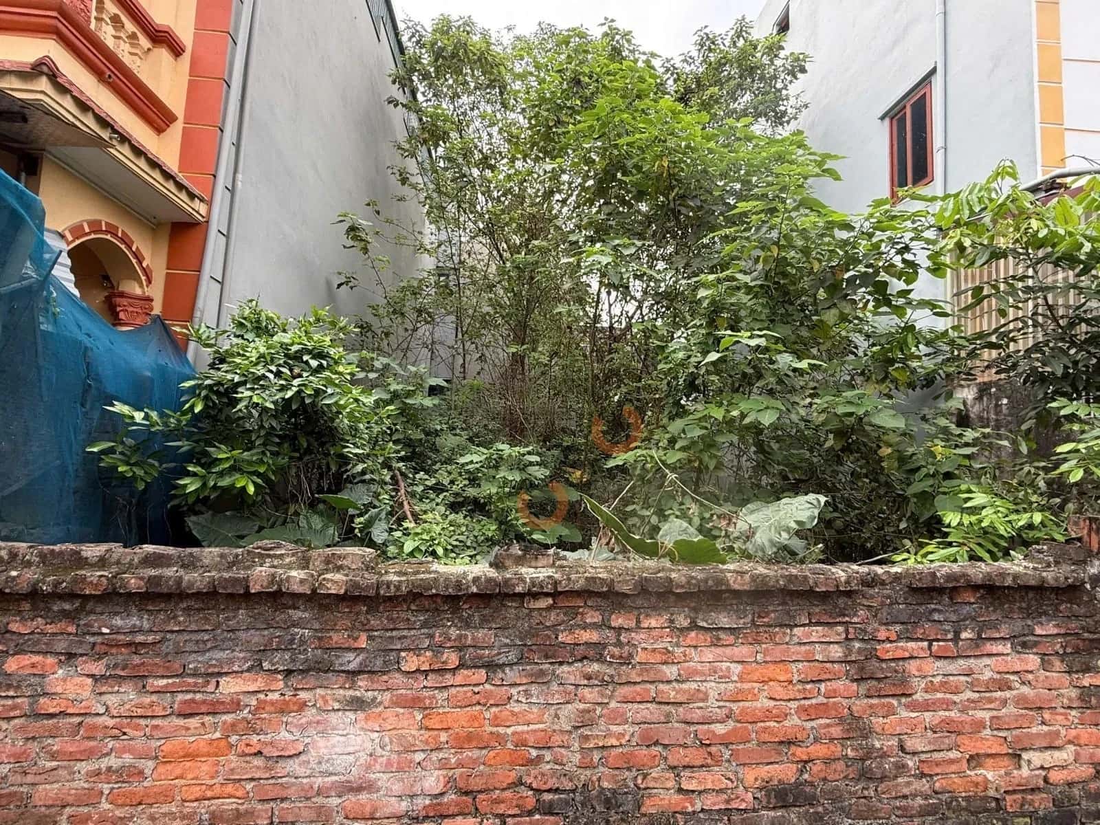 Bán đất thôn Xuân Thụy Huyện Gia Lâm, TP. Hà Nội – giá 5.5 tỷ — Hình 2