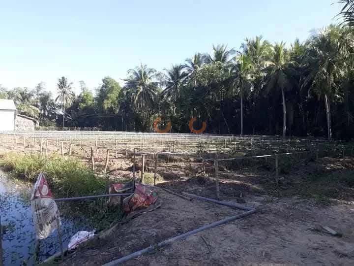 Bán đất Ấp Vĩnh Đằng Huyện Châu Thành, Kiên Giang – giá 3.3 tỷ — Hình 2