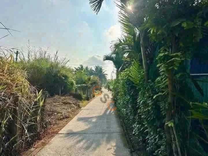 Bán đất Bùi Tấn Thành phố Tân An, Long An – giá 630 triệu — Hình 3