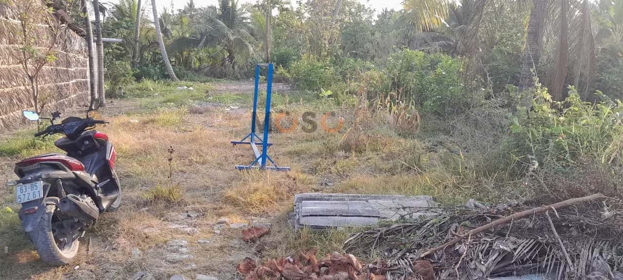 Bán đất Đường Miễu Bà ấp Long Thới Huyện Gò Công Tây, Tiền Giang – giá 480 triệu