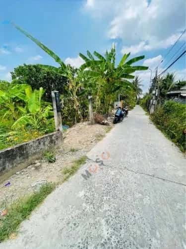 Cho thuê nhà hẻm Bàu Tre Huyện Củ Chi, TP.HCM – 2 phòng ngủ, giá 860 triệu