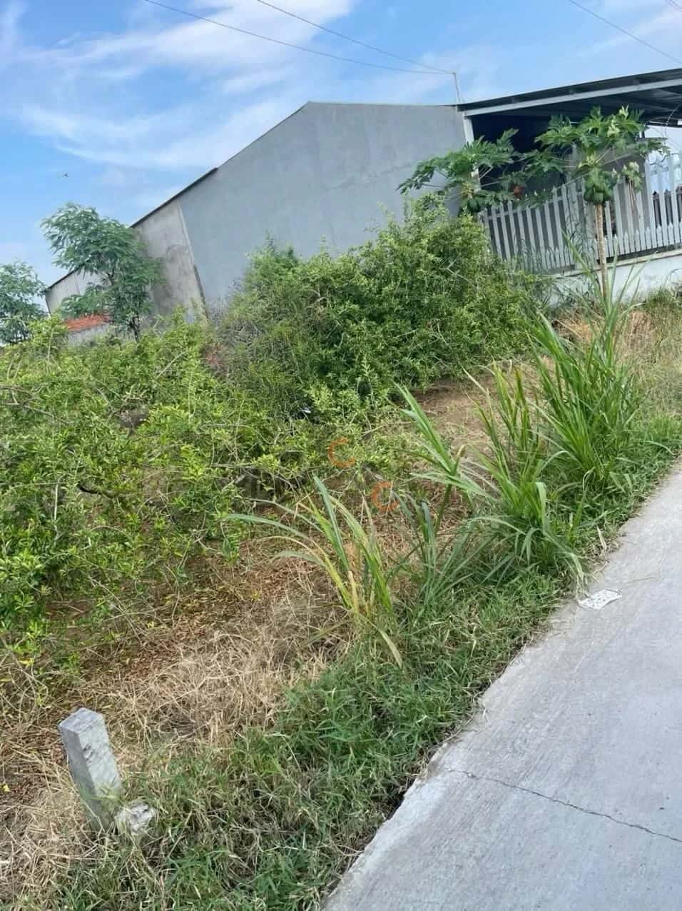 Bán đất hẻm đường Nguyễn Thìn  Thành phố Gò Công, Tiền Giang – giá 730 triệu — Hình 2
