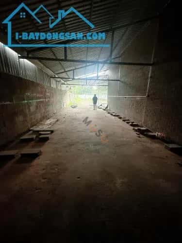 Cho thuê kho, nhà xưởng Phạm Ngọc Thảo Bến Tre, Bến Tre – giá 12 triệu — Hình 3