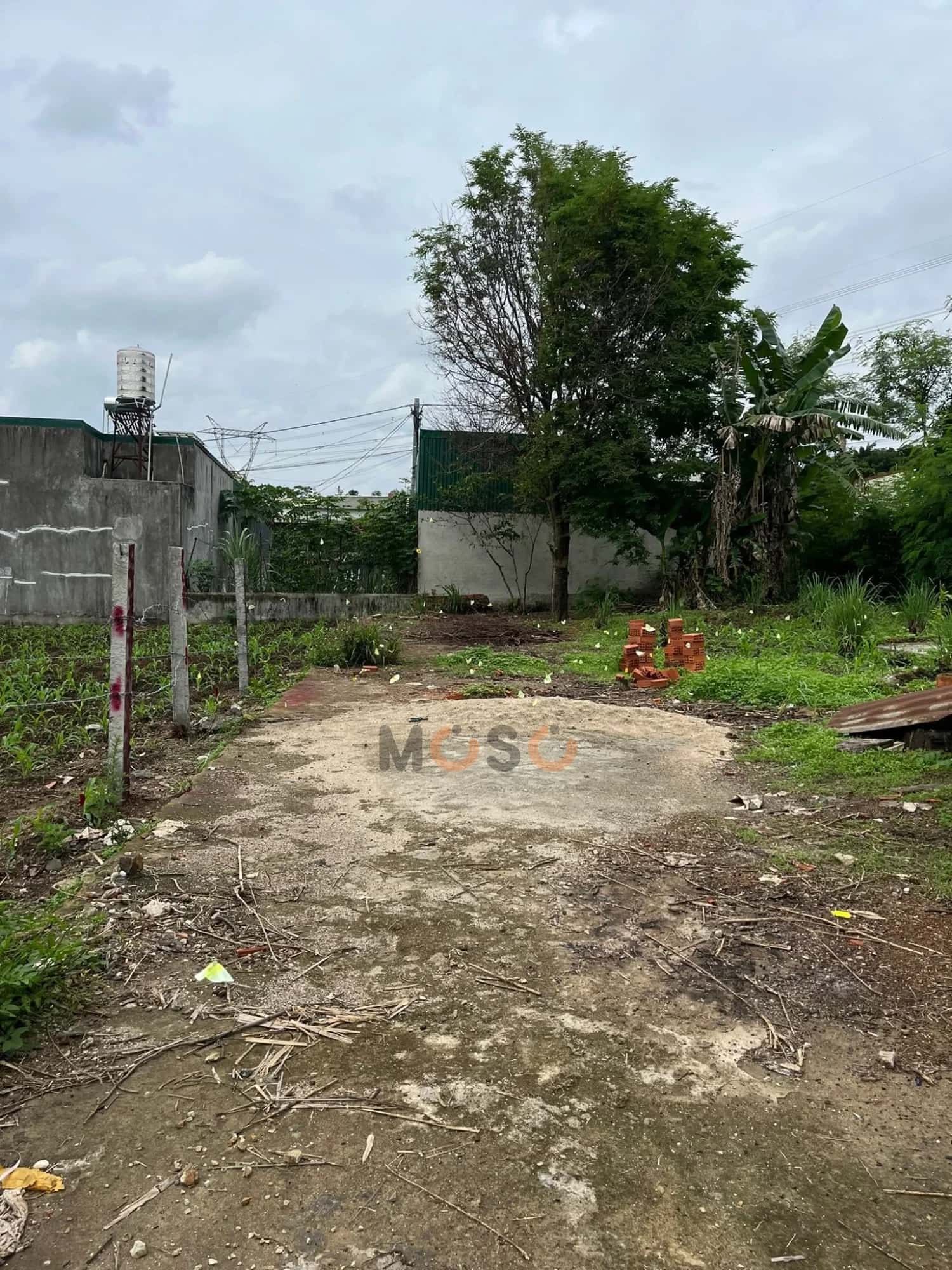 Bán đất Tạ Quang Bửu Thành phố Buôn Ma Thuột, Đắk Lắk – giá 830 triệu — Hình 2