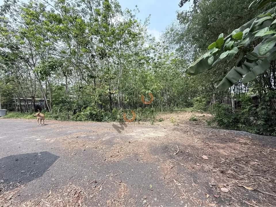 Hình ảnh nhà 2
