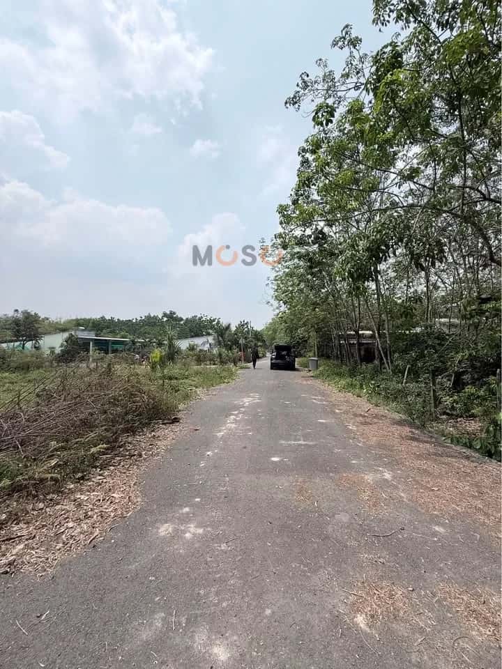 Hình ảnh nhà 3