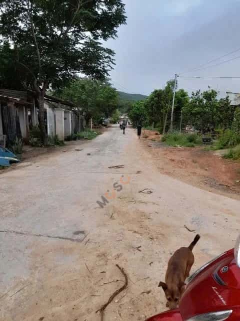 Bán đất thôn Suối Thơm  Huyện Khánh Vĩnh, Khánh Hòa – giá 760 triệu — Hình 3