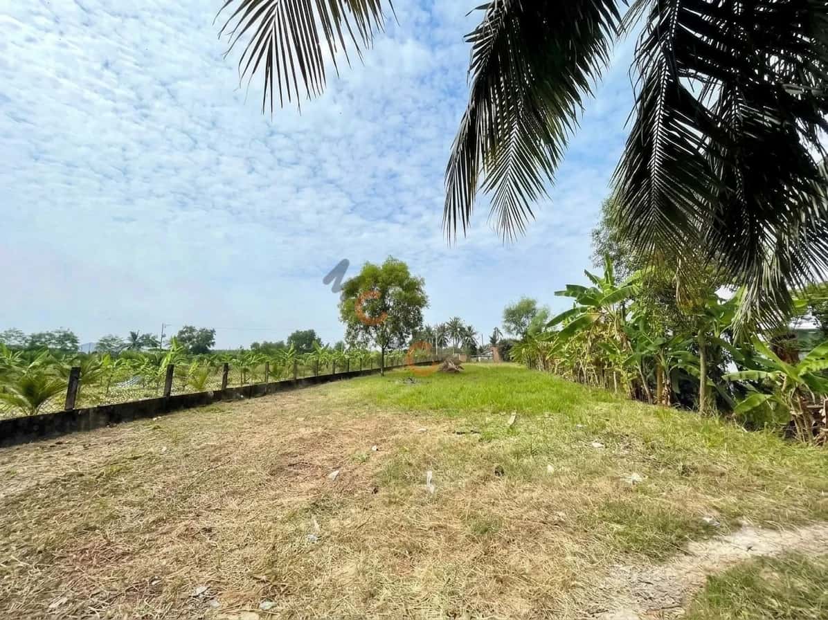 Hình ảnh nhà 2