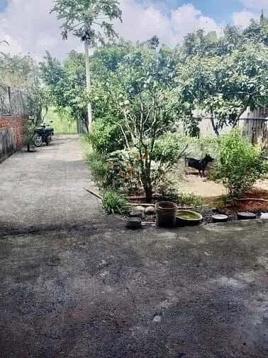 Hình ảnh nhà 3