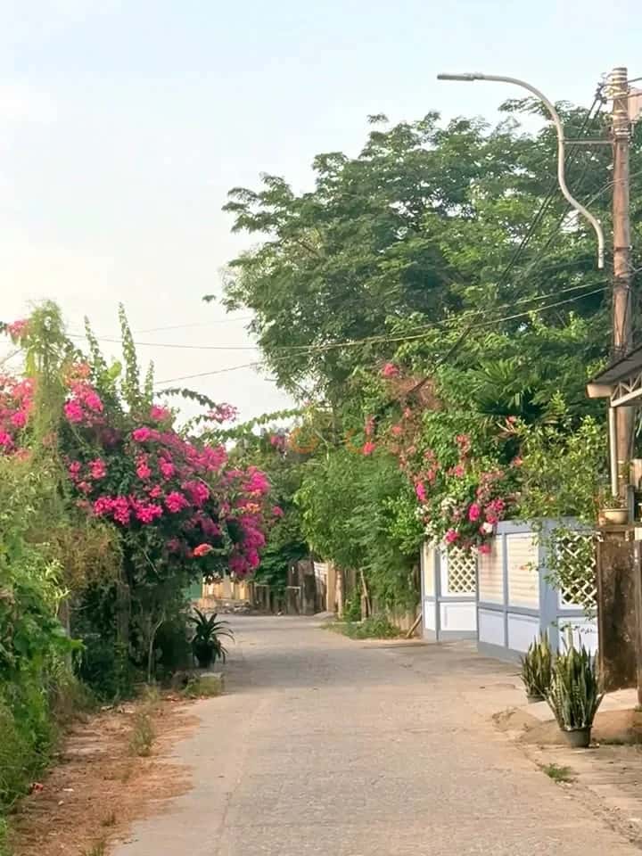 Bán đất Nguyễn Văn Chư Thị xã Hương Thủy, TP. Huế – giá 999 triệu — Hình 2
