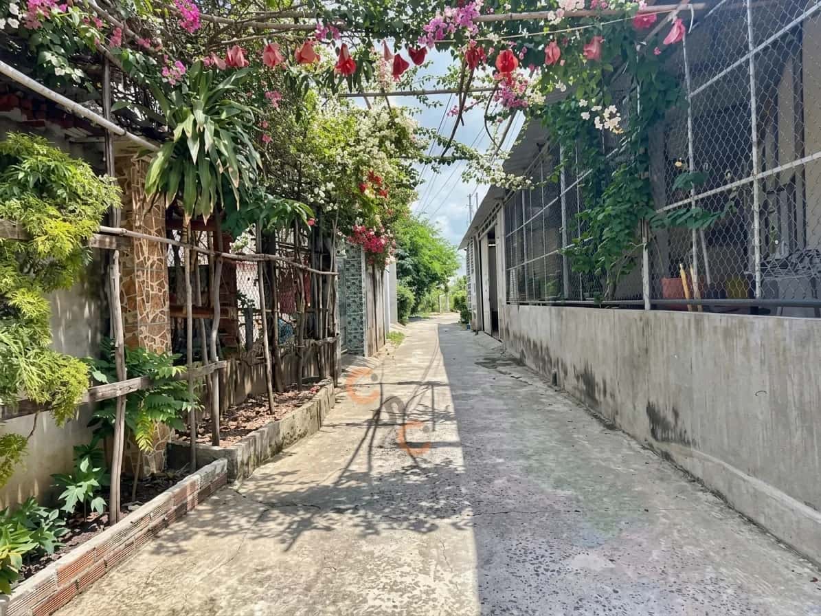 Hình ảnh nhà 3