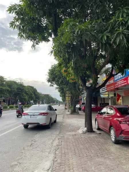 Bán đất Nguyễn Trãi Thành phố Vinh, Nghệ An – giá 6.5 tỷ — Hình 3