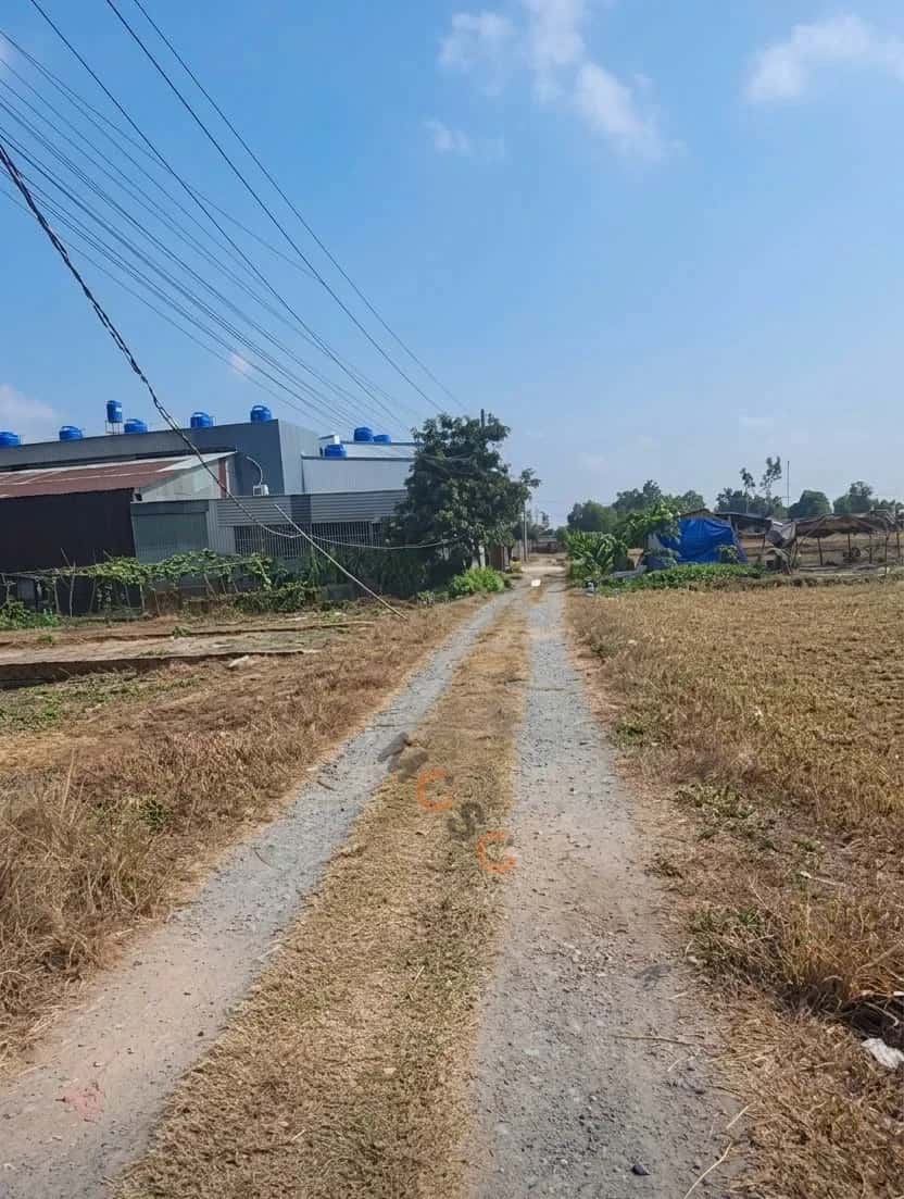 Hình ảnh nhà 3