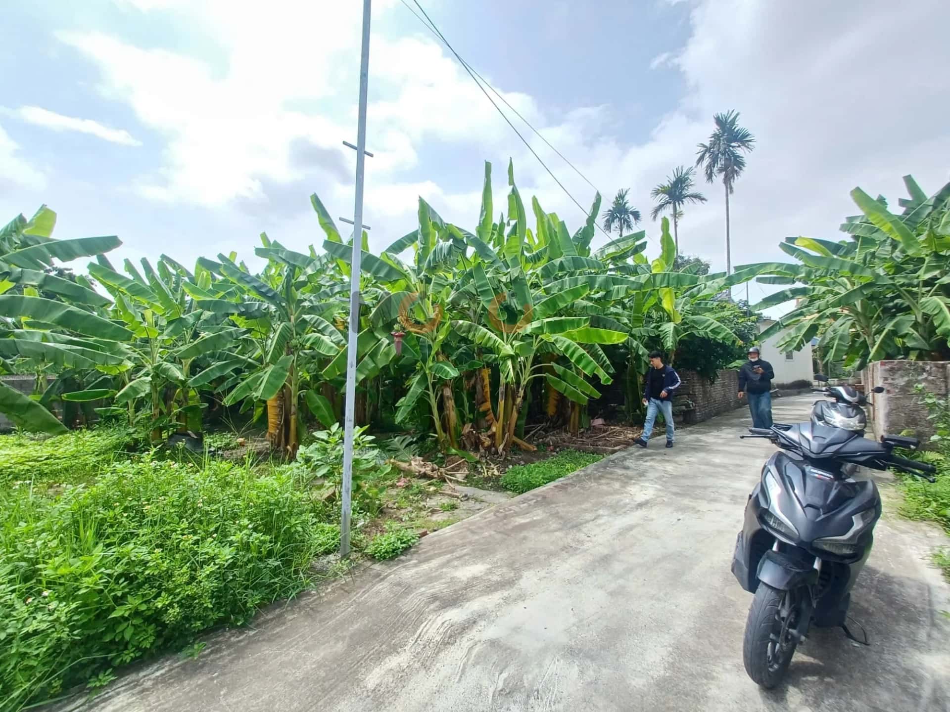 Bán đất thôn 6 Quận An Dương, TP. Hải Phòng – giá 1.5 tỷ — Hình 2