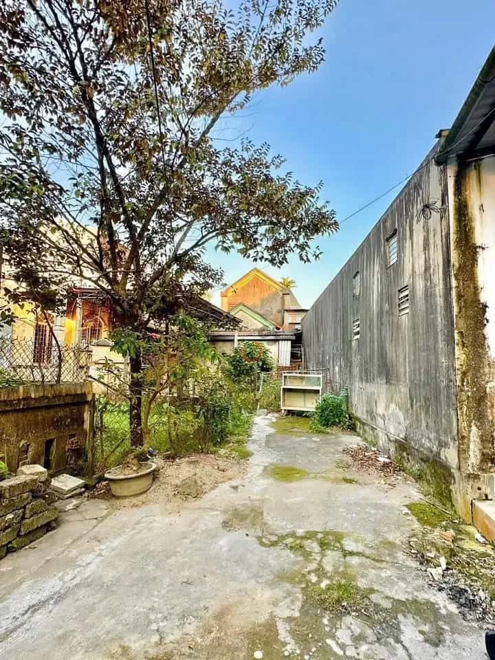 Bán đất Trường Chinh Quận Thuận Hóa, TP. Huế – giá 3.3 tỷ — Hình 3