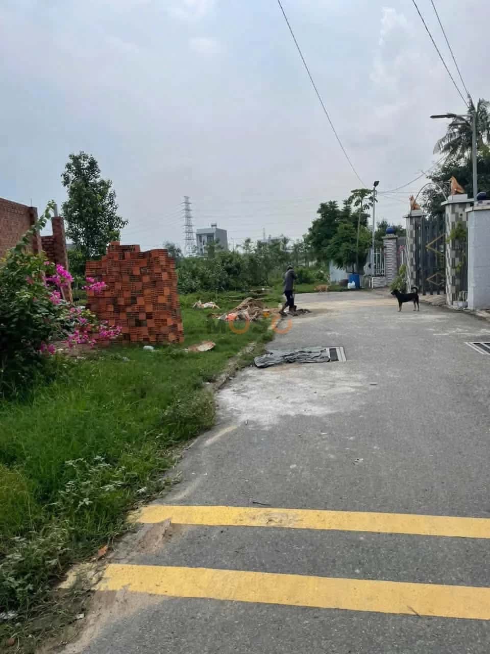 Hình ảnh nhà 3